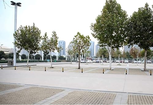 CukUJH Parking Guardrails Barrier Post Portable Security Posts for Driveways Parking Bollards Removable Parking Barriers for Zones Parking Security Barrier Post(55cm)