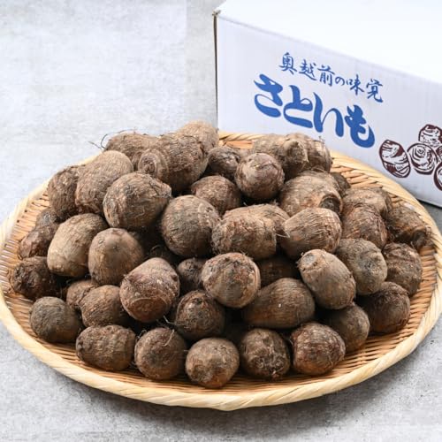 [ふるさと納税][先行予約]令和8年産 かつやま 里芋 5kg (2026年10月27日より順次発送)| 野菜 芋 いも 和食 煮物 おでん 惣菜 さといも 大容量 新鮮 料理 食べ頃 完熟 旬 おいしい お取り寄せ セット ギフト サイズ 特産 名産 農家 直送 家庭用 箱入り