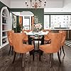 PADMA HOUSE Tempered Glass Dining Table Chair Set with 4