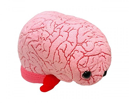 cerebrum plush