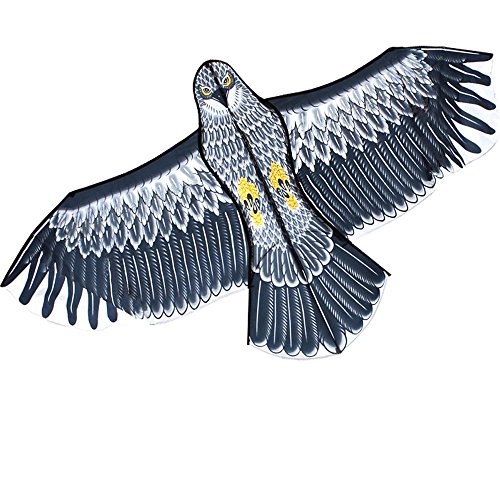 HENGDA KITE 60-Inch Edge Eagle Kite
