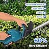 Taille Haie Electrique 2 Batterie: Taille Haie sans Fil avec Batterie 2000 mAh, Longueur de Coupe 480 mm,Pas de Denture 20mm, pour Le Jardin, la Pelouse et la Cour (Bleu)