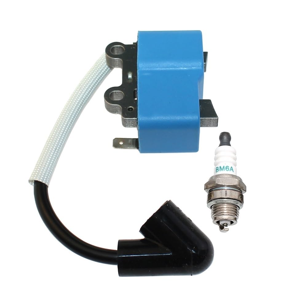 Bobine d'allumage haute performance CS-4910 A411001210 - 5