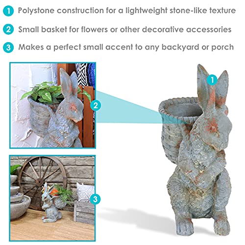 Sunnydaze Roman The Carrot Collector Rabbit Statue - Patio, Lawn, Garden And Deck Decoration And Yard Art Sculpture - Indoor/Outdoor Figurine - 17-Inch #TOP3