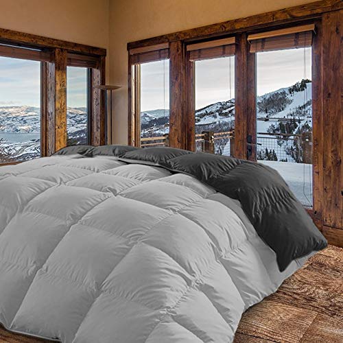 Energy Colors Textil - Hogar - Moscow - Edredón/Relleno Nórdico Reversible (Gris, Cama 135 y 150 (240 x 260 cm))