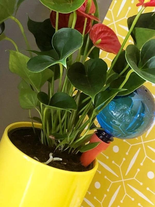 PLANTPAL Plant Watering Globes – Automatic Self Watering System for Plants Indoor & Outdoor, Plant Watering Devices, 2-Pack Blue & Orange – Intelligent Moisture Sensor, Effortless Hydration