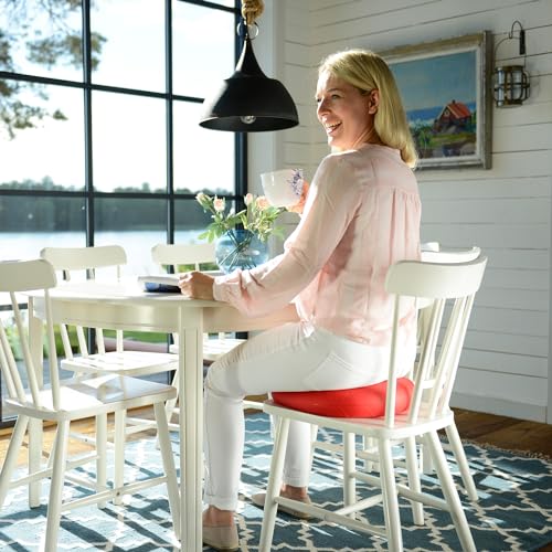SISSEL SITFIT Plus | Active & Dynamic Sitting | 2-in-1 Function | Adjustable Pressure | Blue, 14.5 in | Strengthens Back Muscles | Includes Pump & Exercise Poster by SISSEL - Image 9