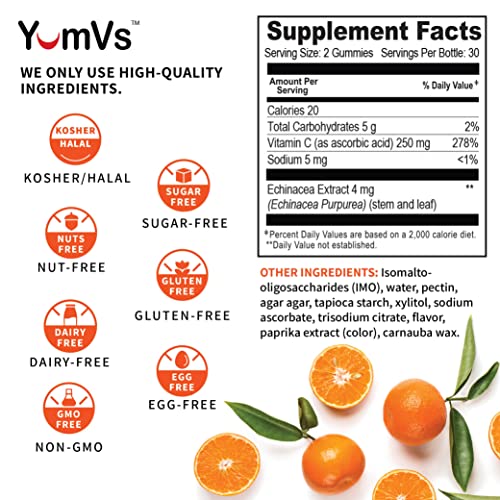 Yum-V's Vitamin C With Echinacea Zero Gummies For Adults By Yumvs | Sugar Free Supplement For Women And Men | 250 Mg Vitamin C And Echinacea | Natural Orange Flavor Chewables - 60 Count #TOP3
