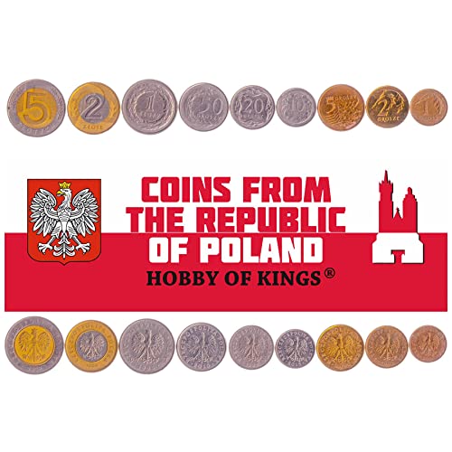 9 Coins from Poland | Polish Coin Set Collection 1 2 5 10 20 50 Grosz 1 2 5 Złote | Circulated 1990-2016 | White Crowned Eagle