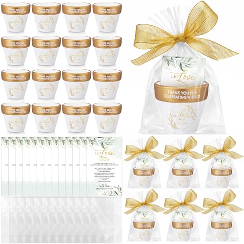 Blushtier 73 Pcs Let Love Grow Wedding Favors Bridal Shower Gift Bags for Guest Seed Packets Wedding Favor Include 24 Small Terracotta Succulent Clay Pots with Holes Card Ribbon Celebrating Souvenir