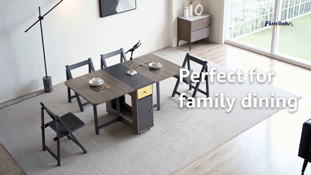 Amazon.com: FUNROLUX Folding Dining Chairs with Padded Seats 2