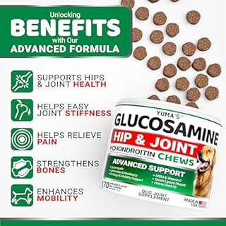 Glucosamine for Dogs - Hip and Joint Supplement for Dogs - 170 Ct - Glucosamine Chondroitin Chews - Joint Pain Relief Supplement with MSM - Advanced Health - Mobility Support - Made in USA