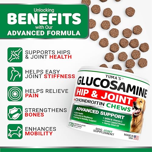 Glucosamine for Dogs - Hip and Joint Supplement for Dogs - 170 Ct - Glucosamine Chondroitin Chews - Joint Pain Relief Supplement with MSM - Advanced Health - Mobility Support - Made in USA - Image 3