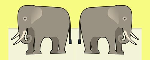 Animals: Largest or Smallest