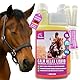 Magnesium Pferd hochdosiert Liquid & Paste mit Vitamin B12 1L 2x30ml Zusatzfutter Calm Anti Stress I Mittel Beruhigung Entspannung Nerven Pferd I Magnesium für Pferde L-Tryptophan komplex Horse Relax
