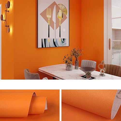 [Caividom]ǎV[ ~gO[ CNV[g n  ͂ NX EH[XebJ[ JbeBOV[g J[V[g  60CM×10M h ϔM h   k gC ʑ HI Lb`