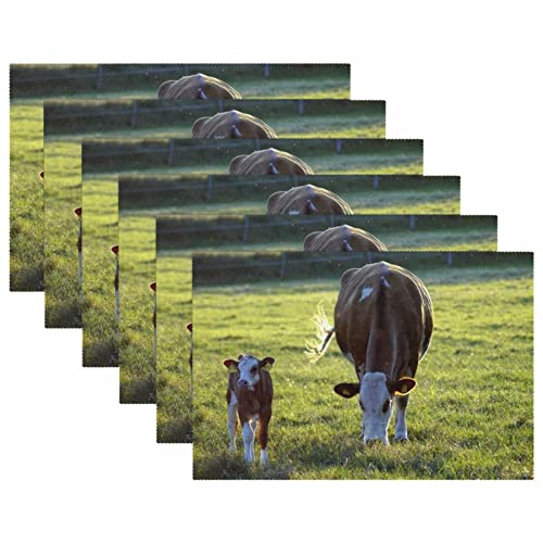 Sets de table antidérapants Aniaml lot de 6 thermorésistants 30x45 cm - 6