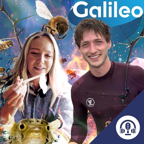 X-Perience Dangerous Food: Tarantel-Therapie und halluzinogener Honig