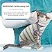 MORVIGIVE Cat Recovery Suit After Surgery, Striped Cat Onesie for Cats Spay Neuter, Professional Kitten Surgical Bodysuit, E-Collar Cone Alternative for Abdominal Wounds & Skin Diseases