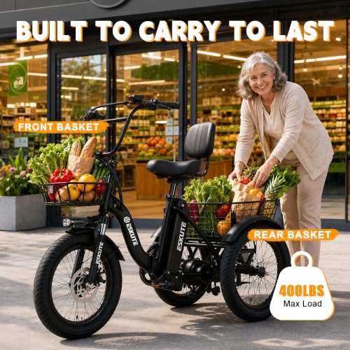 Ligood T300 Folding Electric Tricycle