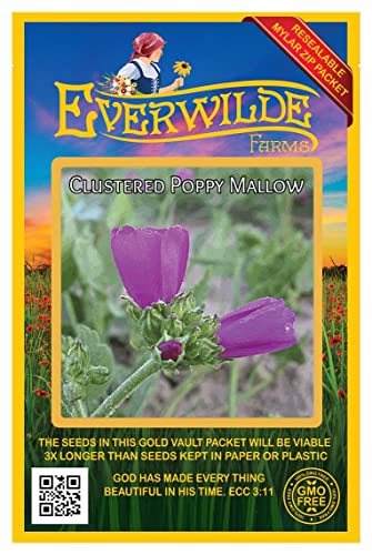 Everwilde Farms - 25 Clustered Poppy Mallow Native Wildflower Seeds - Gold Vault Seed Packet