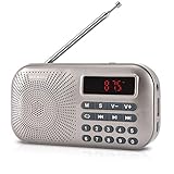 GESON RM-155Pro AM FM Radio Portable Mini USB Speaker MP3 Music Player Supports Micro SD/TF auto scan Save LED Display USB Data Transmission and Sound Card Function, Rechargeable BL-5C Battery (Gold)