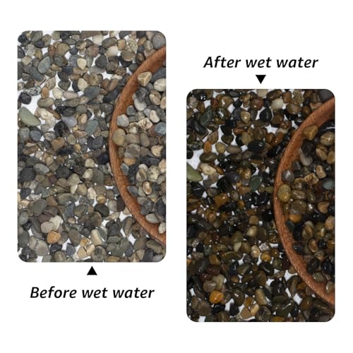 Image of 20lbs Coarse Sand Stone - Succulents and Cactus Rocks, Decorative Gravel for Plants and Vases Fillers，Terrarium, Fairy Gardening, Natural Stone Top Dressing for Potted Plants.