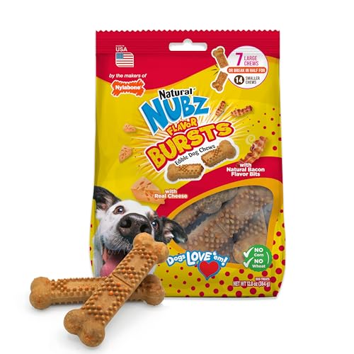 Nylabone Nubz Flavor Bursts Natural Dog Chew Treats for Small Dogs Long Lasting Chew Bones Made in the USA Grain-Free Dog Treats Bacon & Cheese Flavor for Dogs Over 30 lbs. (7 Count)