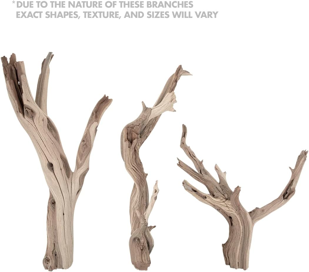 Koyal Wholesale 18” Driftwood Terrarium Decor, Clean California Manzanita Drift Wood Reptile Decor, Driftwood Decor for Home, Desert Reptile Supplies, Small or Large Driftwood Branches for Reptiles
