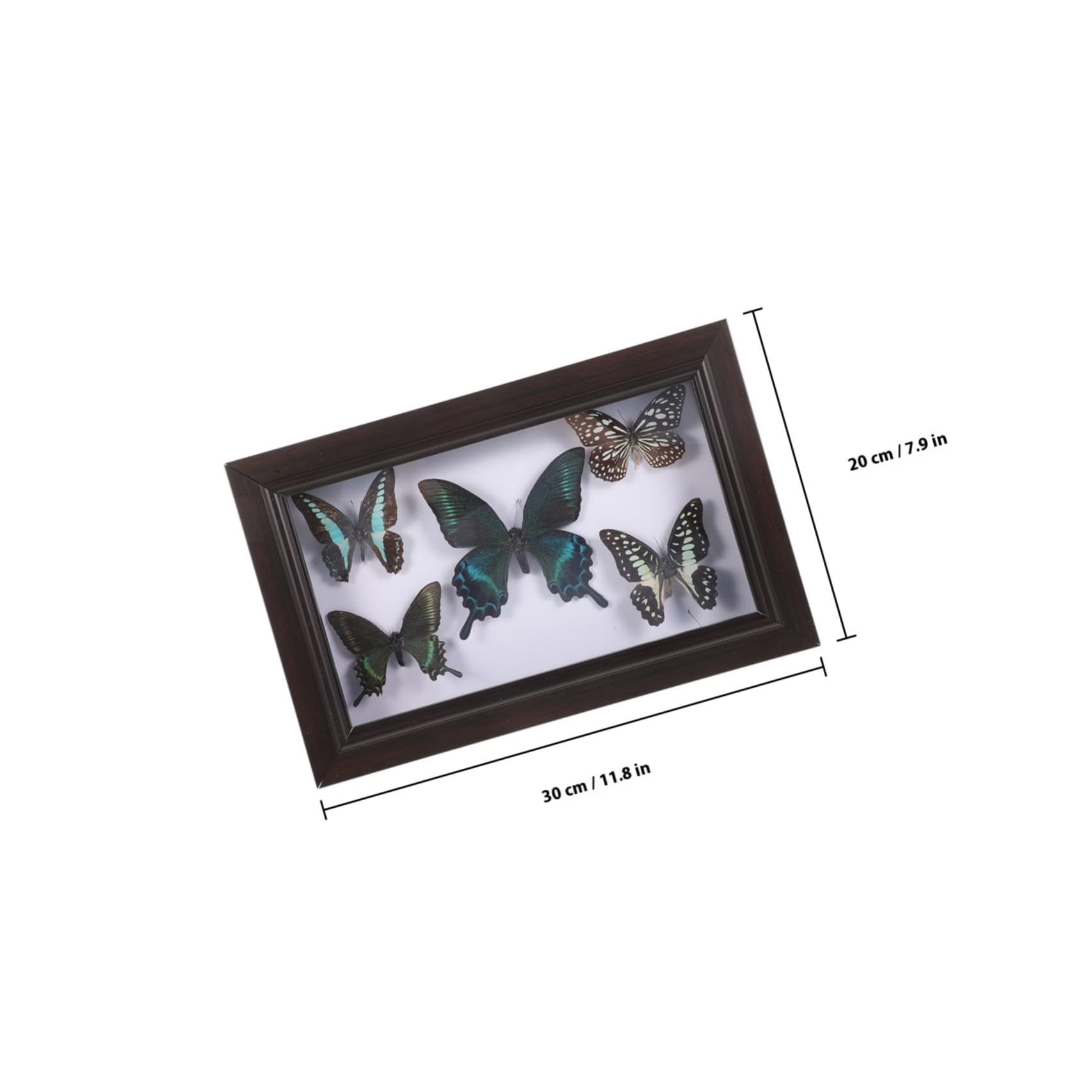 ERINGOGO Marco de Madera para Especímenes de Mariposas Decoración de Pared con Arte Mural de Mariposas Adorno Colgante para Sala de Estar Marco para Exhibir Especímenes Artesanía