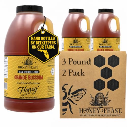HONEY FEAST Raw Orange Blossom Honey 3 Pounds (Pack of 2), Unfiltered &amp; Pure – Fresh Florida Superfood from American Organic Floral Sources