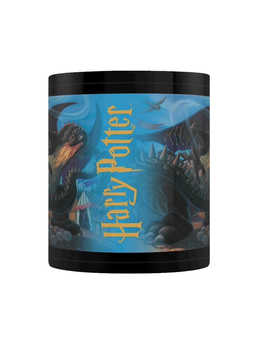 Pyramid International Harry Potter Mug in Presentation Gift Box (Anything is Possible Design) 11oz Ceramic Mug - Image 2