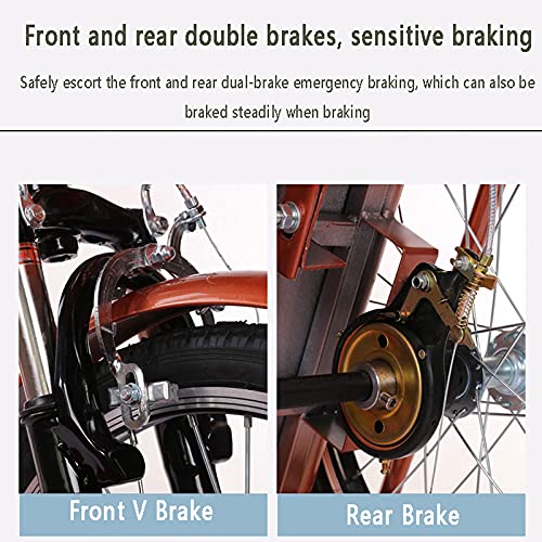 ZJZ Drie wielen fiets 20 inch dubbele ketting volwassen driewieler vrachtmand 3-wiel fiets trike voor recreatie winkelen… - Afbeelding 5