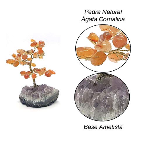 Árvore de Pedra Ágata Cornalina com Base de Ametista - Altura 10 (cm)
