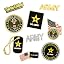 4 Piece Veteran Pin Set - Gold and Black Die Plated