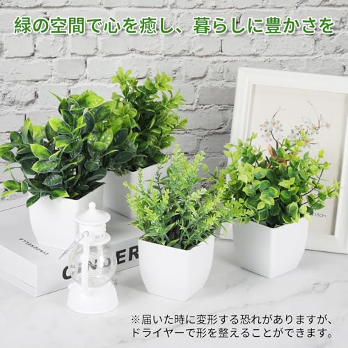 Kailund フェイクグリーン ミニ 卓上 観葉植物 フェイク 4点セット 造花 人工観葉植物 水やり不要 お手入れ簡単 飾り用 インテリアグリーン 室内 家庭 引越し 新築祝い [3]