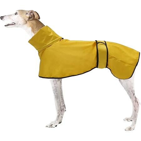 greyhound raincoat