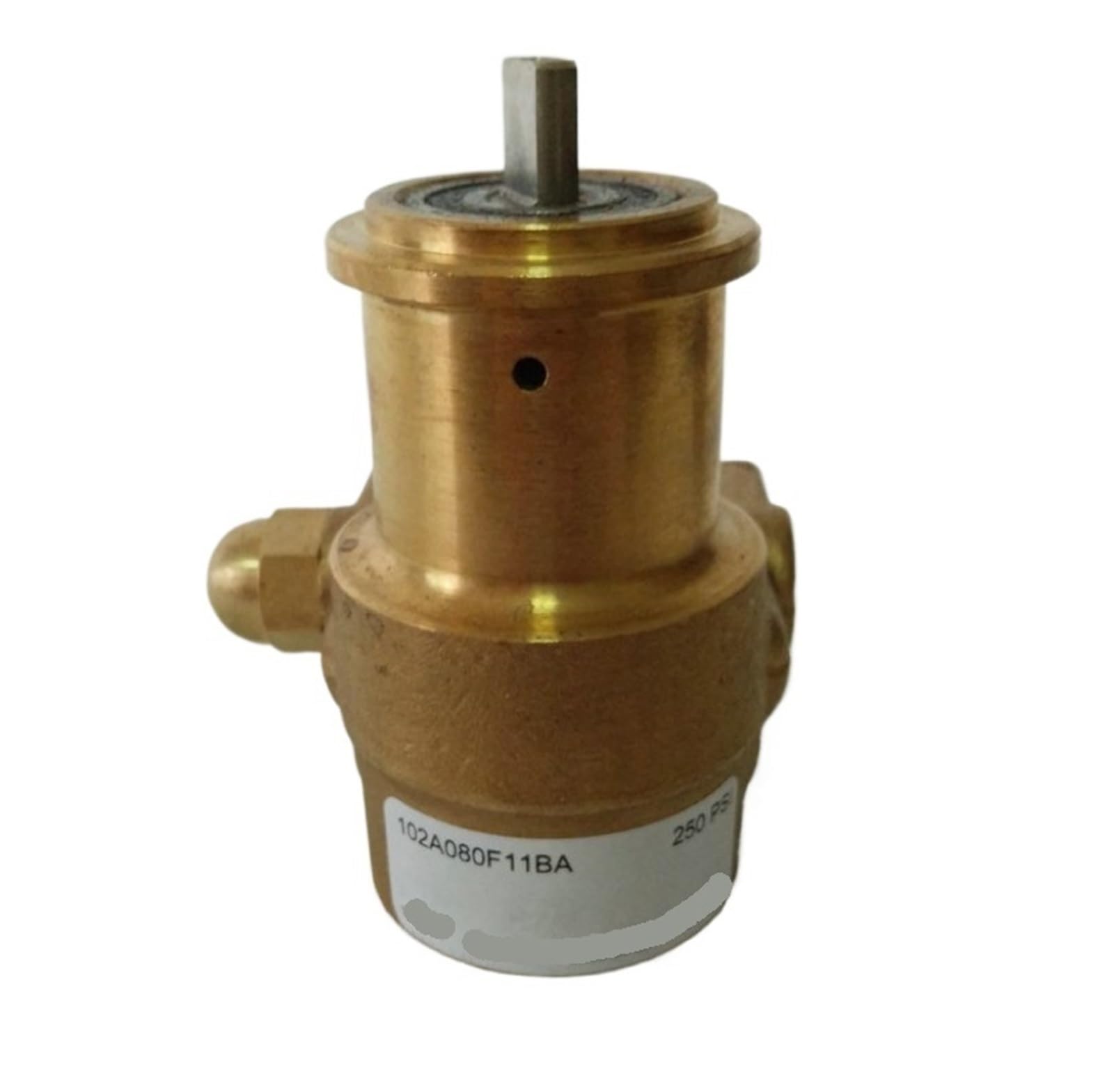 Bolisila Brass Rotary Vane Pump 102A080F11BA