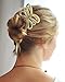 Marycrafts 2 Prongs Light Shade Butterfly Buffalo Horn Hair Fork Hairfork Hair Sticks Hair Accessories