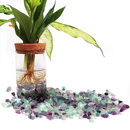 QICQDRAM Polished Fluorite Gravel Rocks Bulk 0.9 Lb/405g Natural Tumbled Crystal Chips Decorative Pebbles for Home Decoration & Fish Turtle Tank, Vase Filler, Plants Decor — view 4