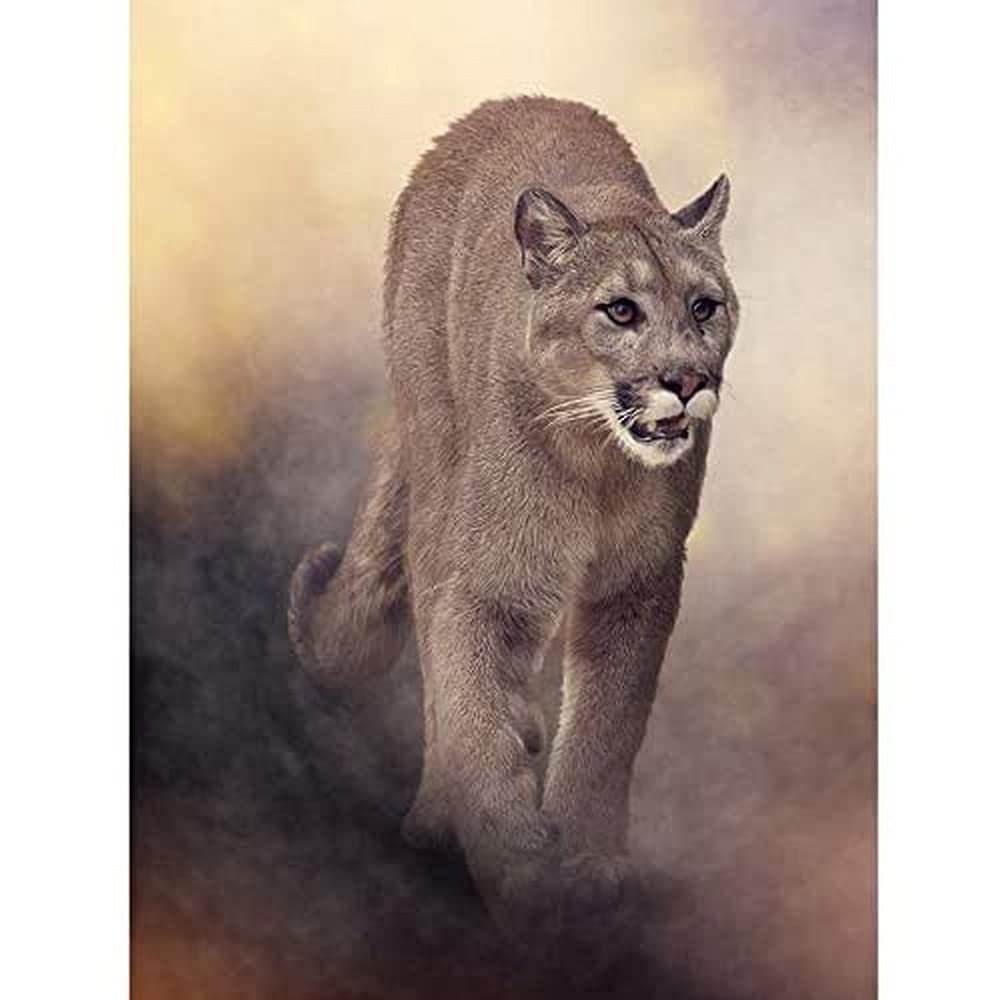 Wee Blue Coo Mountain Lion Cougar Illustration Art Print Canvas Premium Wall Decor Poster