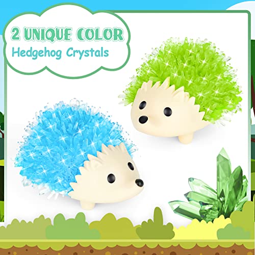 Sdaymol Crystal Growing Kit For Kids - 2 Colors Hedgehog To Grow，Science Experiments For Kids Crystal Science Kits For Teens Stem Gifts For Boys & Girls 8-12 #TOP1