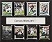 C&I Collectables NFL Philadelphia Eagles Mens 1215WENTZ8CNFL 12"x15" Carson Wentz Philadelphia Eagles 8-Card Plaque, Brown, N/A