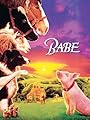 Babe - Maialinoi Coraggioso