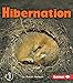 Hibernation (First Step Nonfiction  Discovering Nature's Cycles)