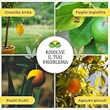 Albagarden B09VXQ8MGH lato 4