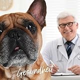 Tjure Morosche Karottensuppe für Hund & Katze | 6 x 320 ml | Schonkost für Hunde bei Durchfall | Zur Ergänzung der Fütterung in besonderen Phasen | Ohne Zusatzstoffe | Made in Germany