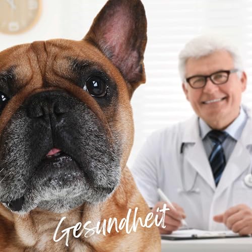 Tjure Morosche Karottensuppe Hund & Katze | 6 x 320 ml | Ergänzungsfuttermittel auf Karottenbasis | Zur Ergänzung der Fütterung in besonderen Phasen | Ohne Zusatzstoffe