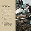 Incapto Caffè in Grani di Specialità 1kg | Origine Colombia | 100% Arabica | +80 punti SCA | Tostatura Naturale e Artigianale | Caffè Grani Naturale | Finca Huila, Cadifihuila #5