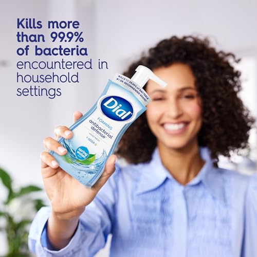Image of Dial Antibacterial Foaming Hand Wash Refill, Spring Water, 30 Ounce (Pack of 2)